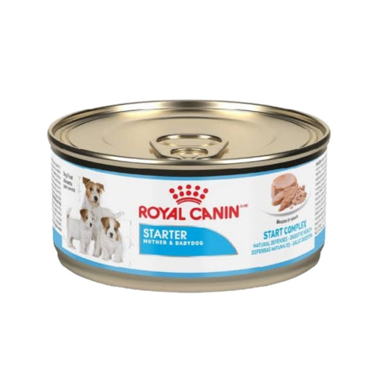 STARTER MOUSSE 145 GR LATA